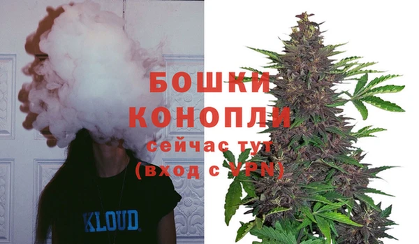 ECSTASY Богданович