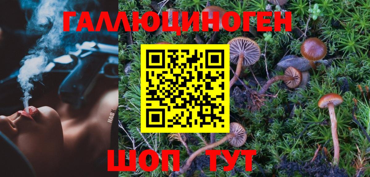 Псилоцибиновые грибы MAGIC MUSHROOMS  Вход с VPN  Семилуки  Псилоцибиновые грибы мицелий 