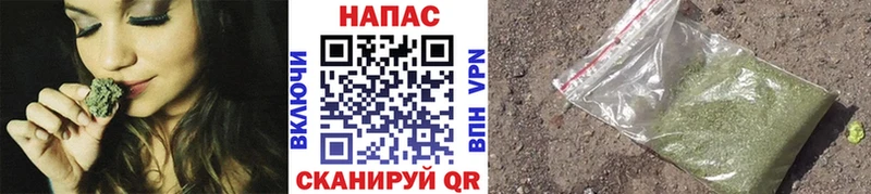 mega зеркало  даркнет сайт  Семилуки  Марихуана ГИДРОПОН 
